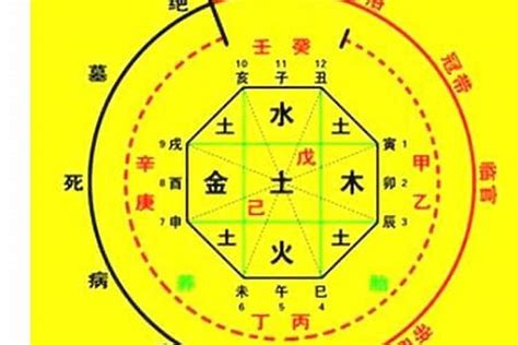 本命怎麼算|生辰八字算命、五行喜用神查詢（免費測算）